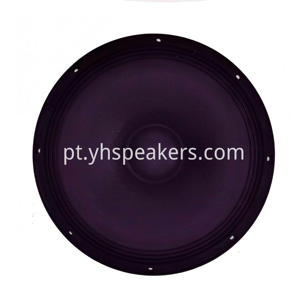 15" Professional Audio Video Speaker